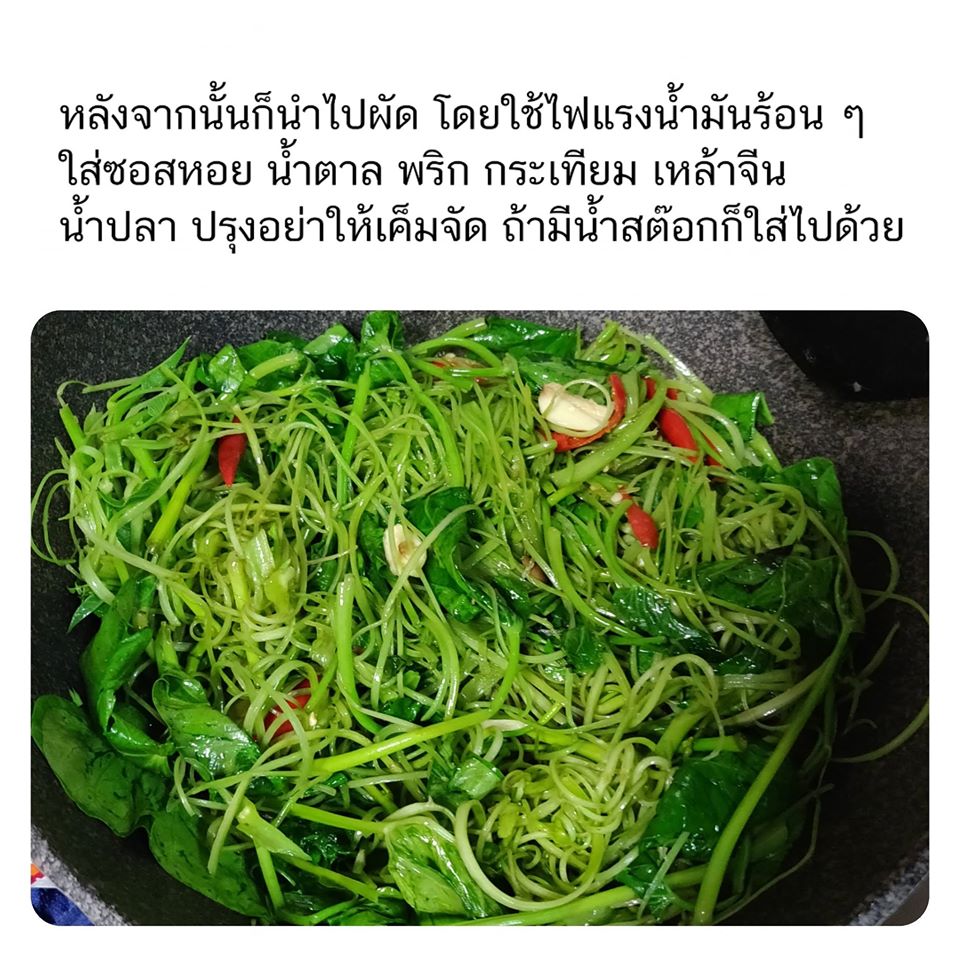My Image 31