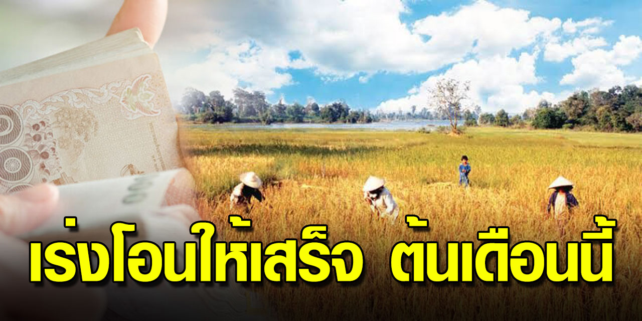 เกษตรกรขึ้นทะเบียน แต่ยังไม่ได้รับเงิน ยื่นอุทธรณ์รับเยียวยา 5มิ.ย.วัน ...
